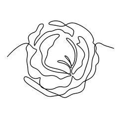 Healthy Fresh Vegetables Vector Line Art Graphic Design Decoration