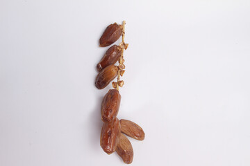 dates on white background