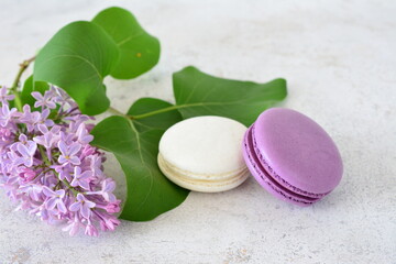 a white and purple macaroni and a lilac branch with a purple flower