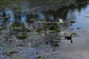 Yala Nationalpark