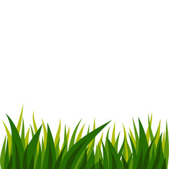 Fototapeta premium green grass illustration