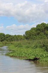 Yala Nationalpark