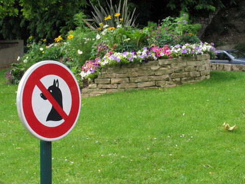 Panneau interdit aux chiens