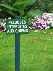 Panneau interdit aux chiens