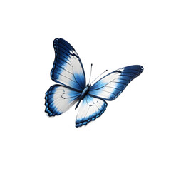 Fototapeta premium blue butterfly on transparent background