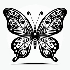 black and white butterfly