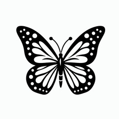 butterfly on white background