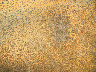 Close-up of Weathered and Rusted Metal Surface with Unique Corrosion Patterns