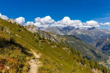 Tour du Mont Blanc beautiful landscapes in the Alps mountains on a sunny summer day. Green grass on the alpine meadow surronded by high mountain peaks of Montbalnc alpine range