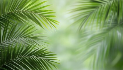 Lush green palm leaves swaying gently in a tropical forest setting during daylight hours