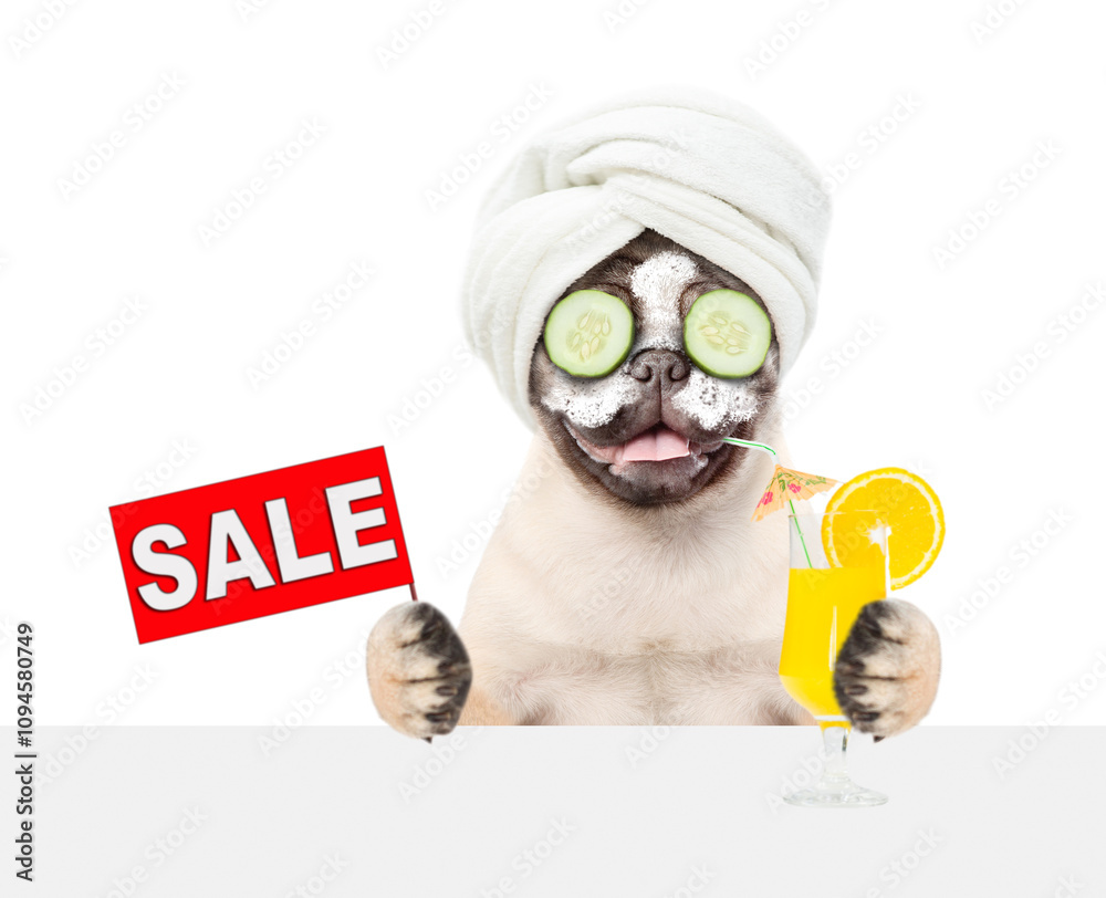 Poster funny pug puppy with towel on it head and with pieces of cucumber on it eyes holds orange cocktail a