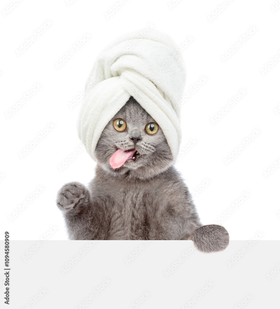 Poster licking lips cat with towel on it head looks above blank white banner. isolated on white background