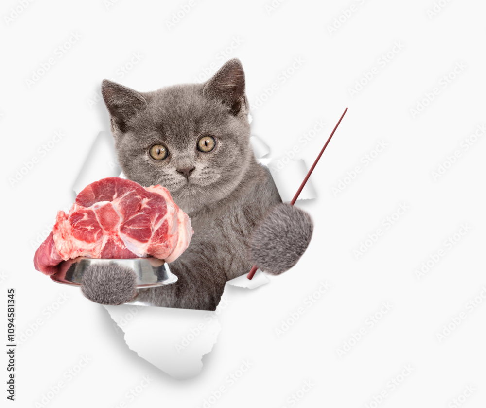 Poster cute kitten looking through the hole in yellow paper and holding bowl with raw meat and pointing awa