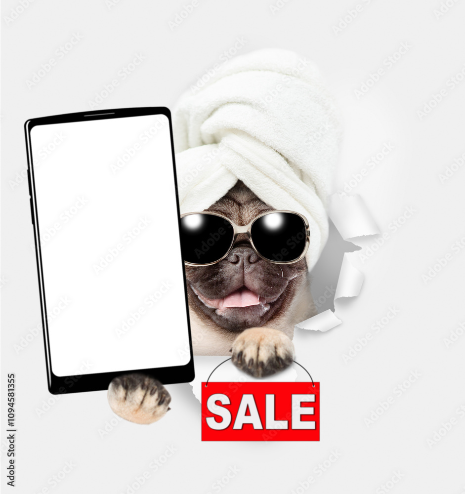 Poster cute pug puppy wearing sunglasses with towel on it head holding big smartphone with white blank scre