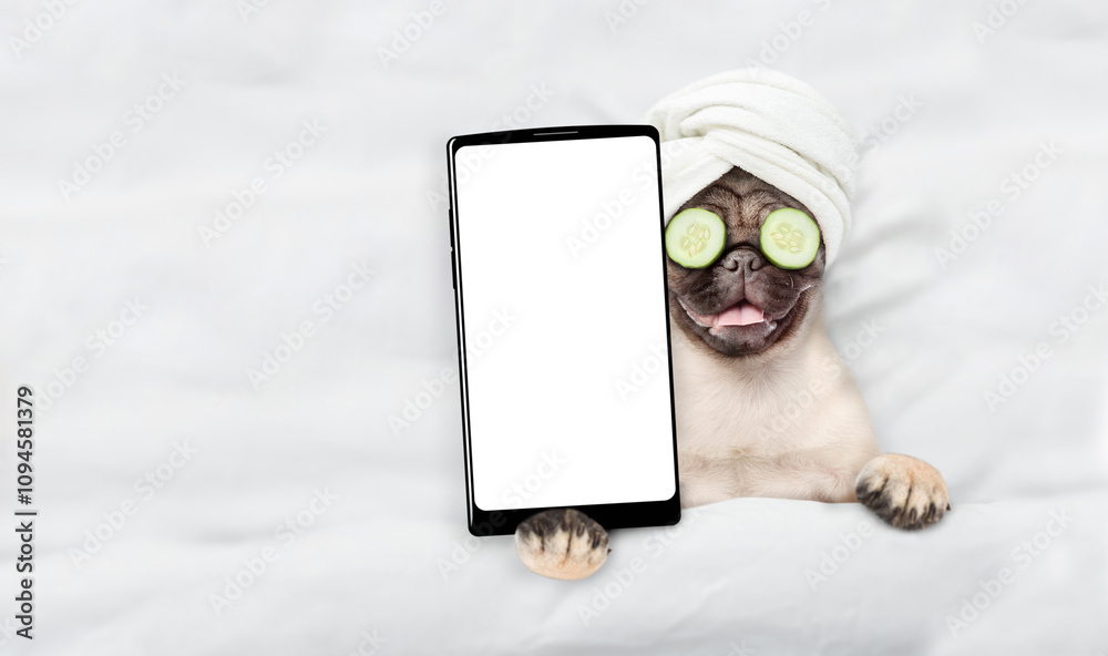 Poster funny pug puppy with towel on his head, with pieces of cucumber on his eyes relaxing on the bed at h