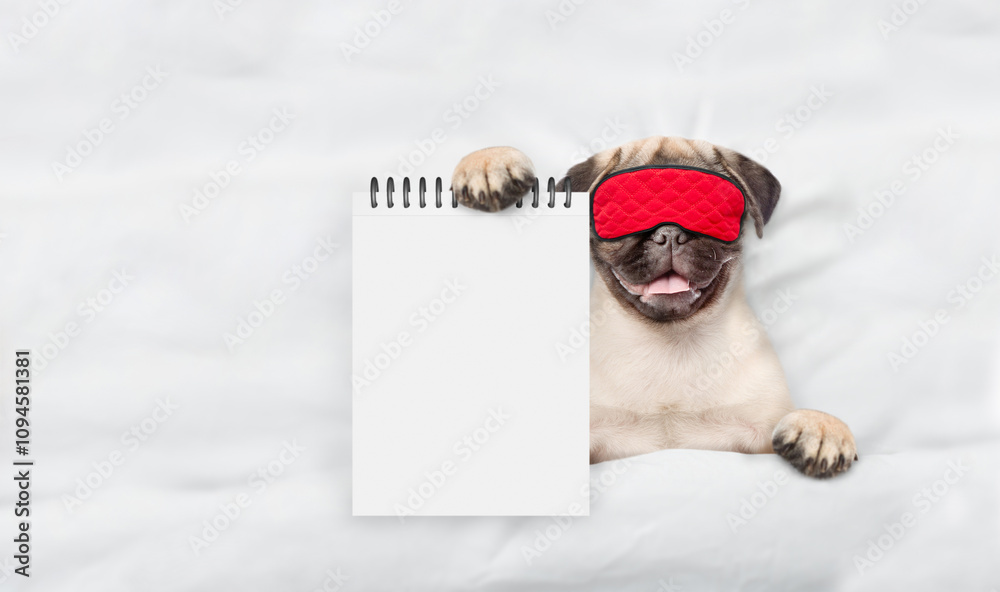 Aufkleber Pug puppy wearing sleeping mask sleeps with toy bear under white blanket on a bed at home and shows empty notepad. Top down view. Empty space for text