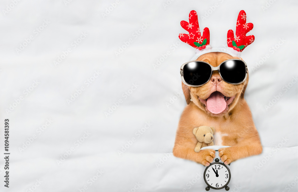 Aufkleber happy mastiff puppy dressed like santa claus reindeer rudolf lying with toy bear under white blanket