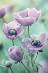 Obraz premium Beautiful clusters of purple flowers bloom in a serene garden setting during springtime