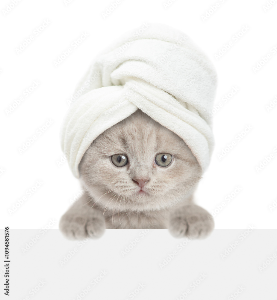Poster cute kitten with towel on it head looks above blank white banner. isolated on white background