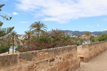Naklejka premium Blick in die Altstadt von Palma de Mallorca 