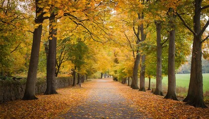 Fototapeta premium Autumn Alley with Beautiful Golden Colors, Vibrant Leaves, and Stunning Foliage Capturing the Essence of Falls Warmth and Serenity in a Picturesque Natural Scene - Perfect Seasonal Beauty