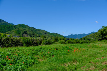 山々と青空に囲まれた広大な風景