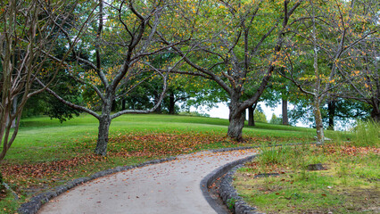 秋の小道と木々の風景