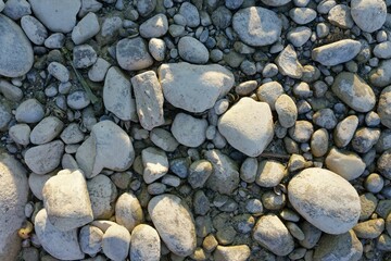 Top view of pebbles on the island of Reichenau in Lake Constance, in southern Germany