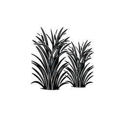 grass vector art and illustration
