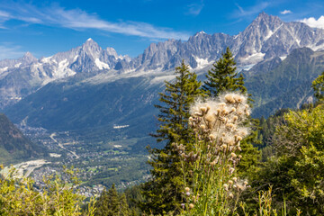 Tour du Mont Blanc beautiful landscapes in the Alps mountains on a sunny summer day. Green grass on the alpine meadow surronded by high mountain peaks of Montbalnc alpine range