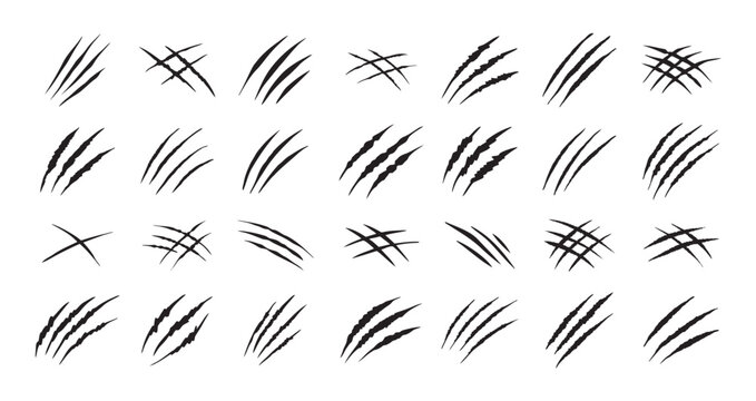 Claw scratches isolated. Black Bear tiger claws trails, animal scratched white paper. Flat scratch marks, racy wild beast tracks clipart