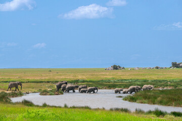 Simiyu is an administrative region of Tanzania. It was created in March 2012, being until then part of the Shinyanga Region. Its capital is the city of Bariadi.