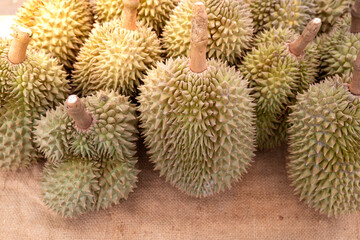Fresh durians. Durians for sale. Durian  King of fruit. Fresh durian fruit on floor, Tropical of Asian fruit. 