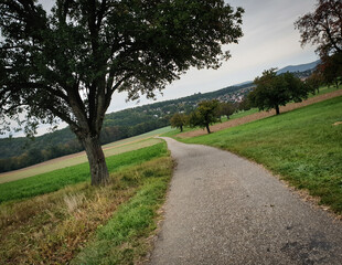 Road in the countryside. Narrow road between villages in Solothurn Canton. Single lane road in rural area amid trees and fields.