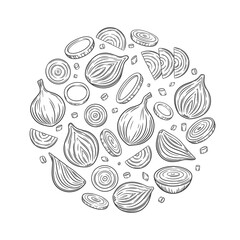 Vector outline onion background. Hand drawn illustration of onion bulb, slices, rings, chopped and whole onion bulb. Collection of onion design elements. Healthy vegetable ingredient for cooking.