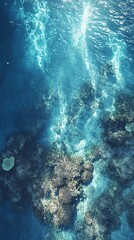 Fototapeta premium Aerial view of vibrant coral reef underwater. Sunbeams illuminate the crystal-clear ocean, showcasing diverse marine life habitat.