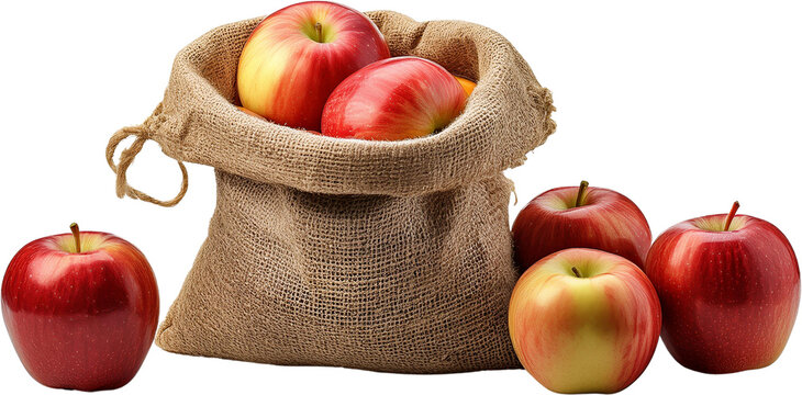Juicy Red Apples in Burlap Sack Autumn Harvest Fresh Fruit