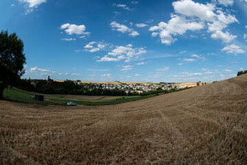 feld ackerbau ernte