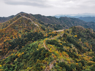 Aerial view of aged section of the Great Wall of China through the trees in the mountains near Beijing on a cloudy day of autumn, path currently closed for tourists