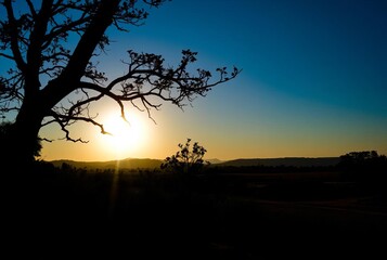 _ . Shadow Silhouette Landscape Frame a landscape scene where th