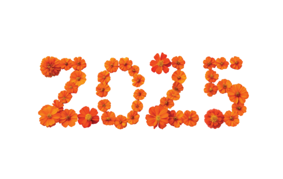 "2005" in Orange Flowers.  Cut out.