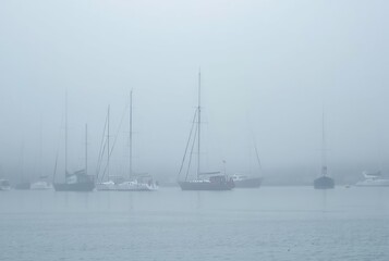 Fototapeta premium Foggy Harbor with Sailing Ships Vessels anchored in a harbor shr