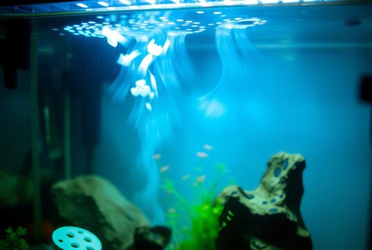 Slow Shutter Aquarium Light Aquarium illuminated with slow shutt