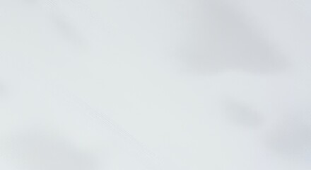 A textured white background with subtle variations in shading and faint, sporadic gray patterns resembling abstract brush strokes.