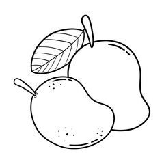 A clean and elegant line art illustration of a mango with simple contours, ideal for modern designs, natural themes, and creative projects.