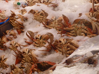 Crabs and crustaceans on ice for sale at the market
