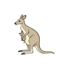 kangaro vector art and illustration