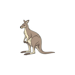 kangaro vector art and illustration