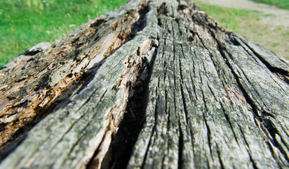 The pattern of the old wood that has cracked texture
