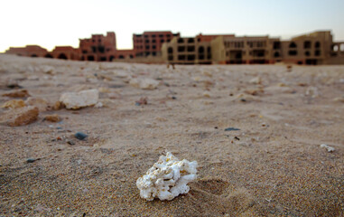 One piece of dead white coral lies  in foreground  near abandoned building, that perhaps was a hotel, but  constraction was stopped and this bulding became as one of abandoned and unfinished building 